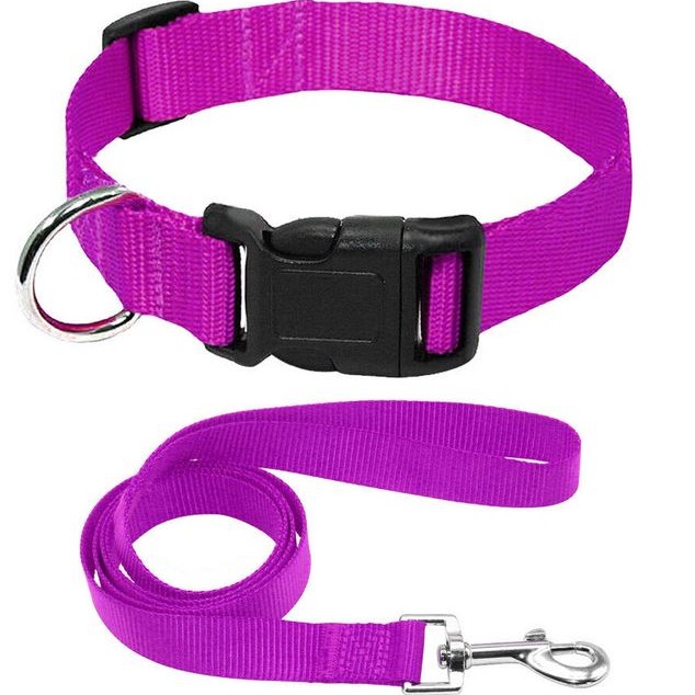 Dog collar and leash set